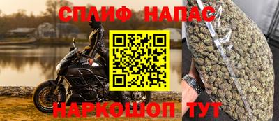прущие грибы Абинск